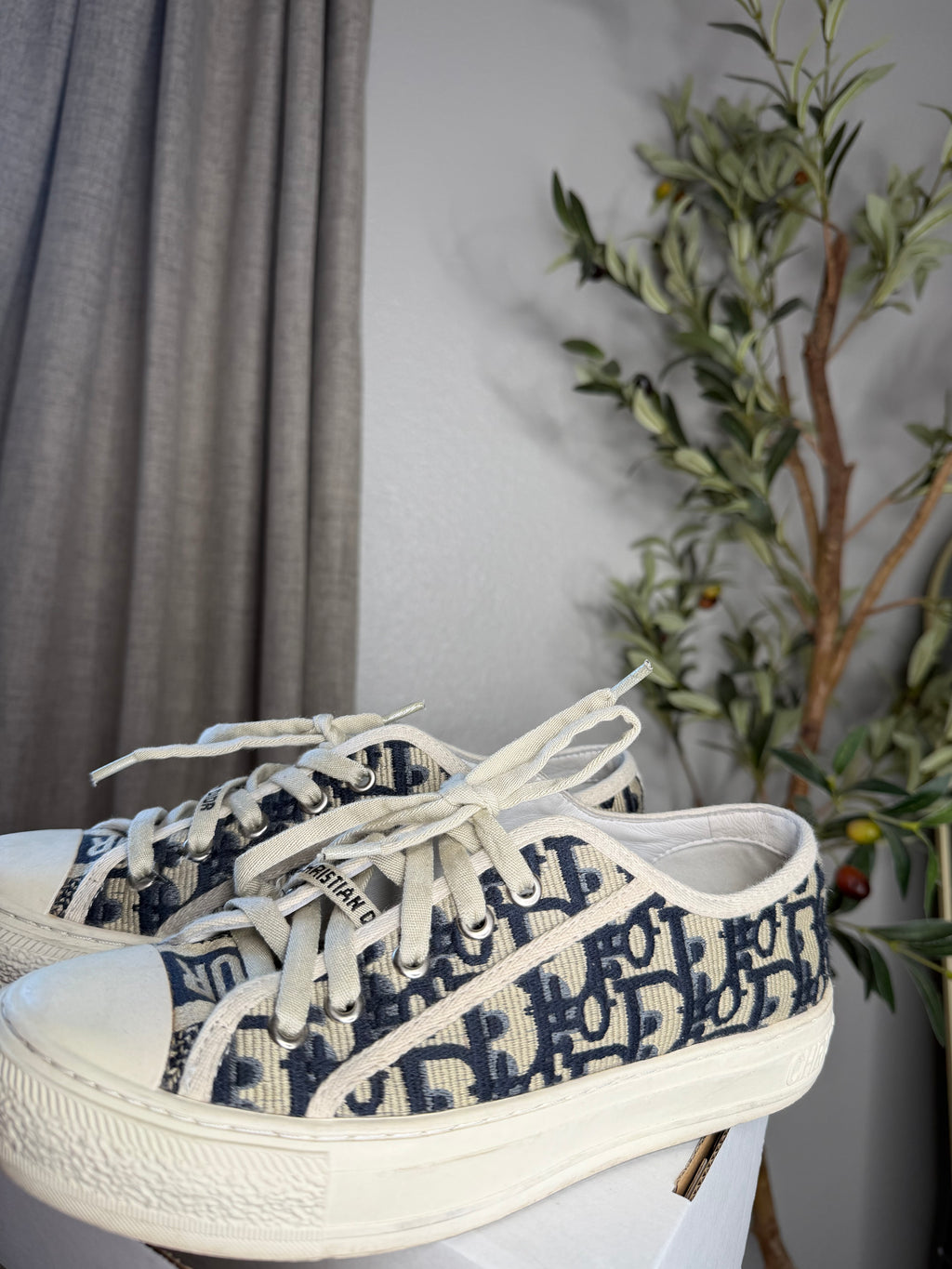 Christian Dior Shoes