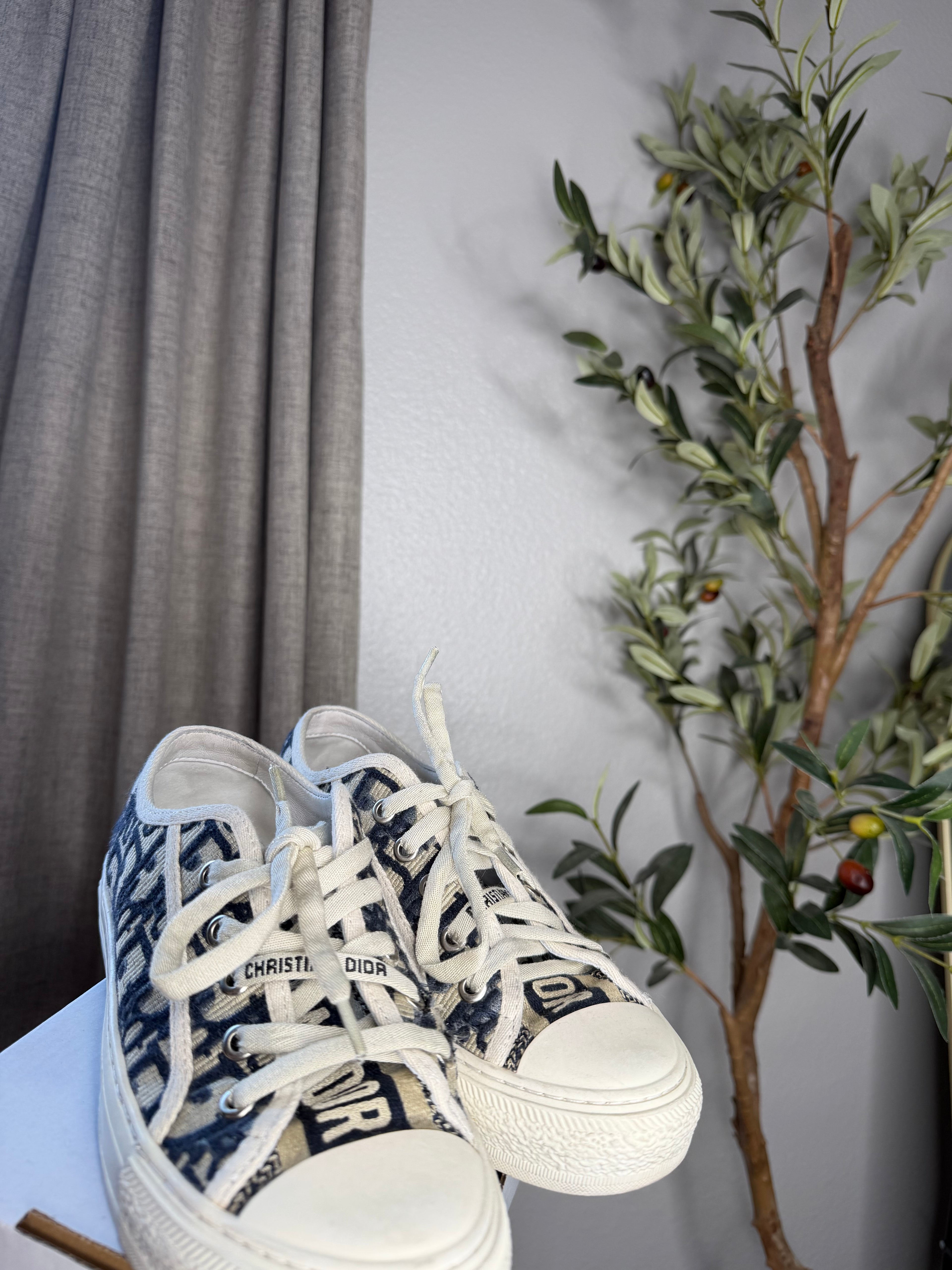 Christian Dior Shoes