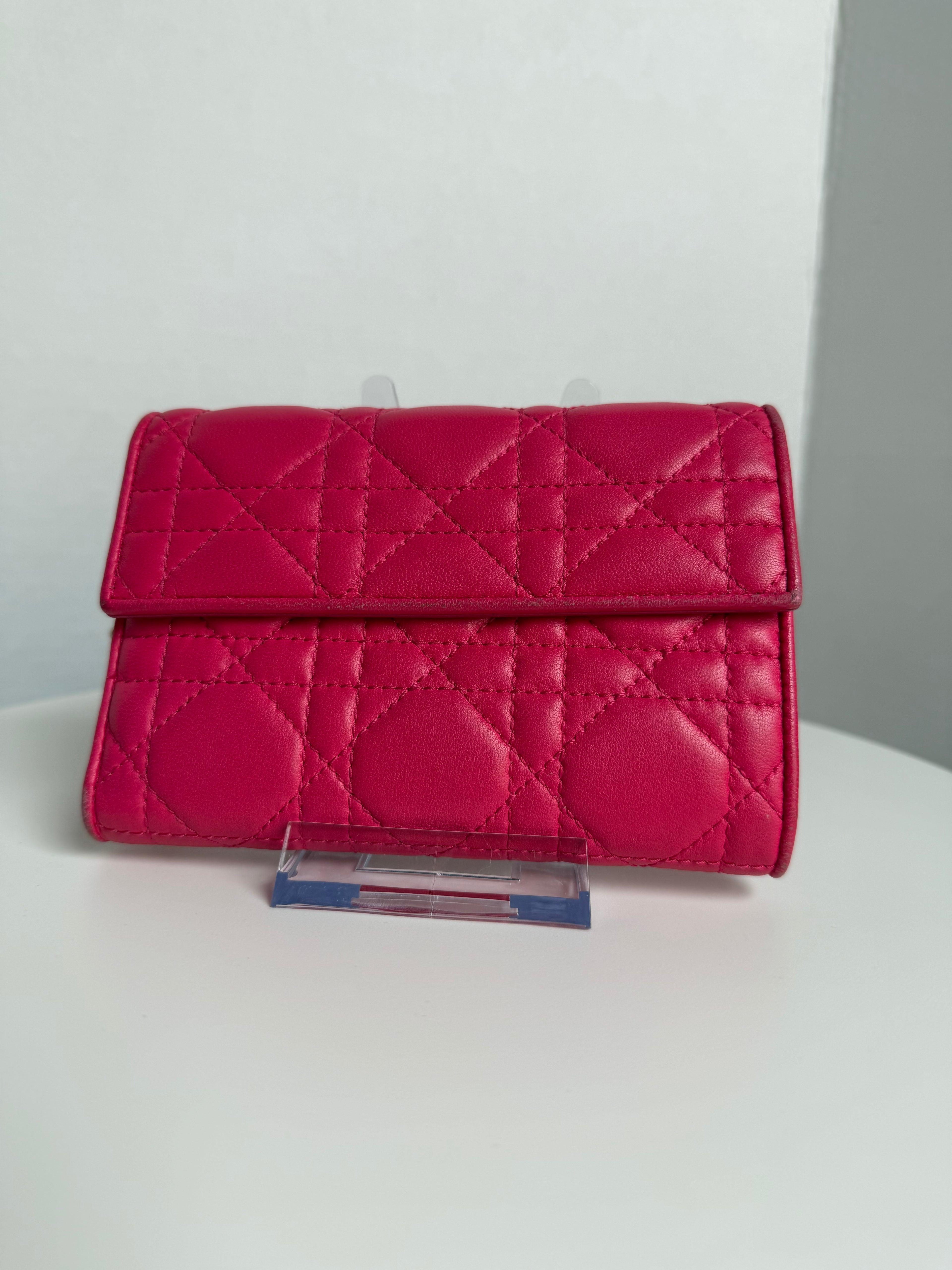 Mini Lady Dior Wallet