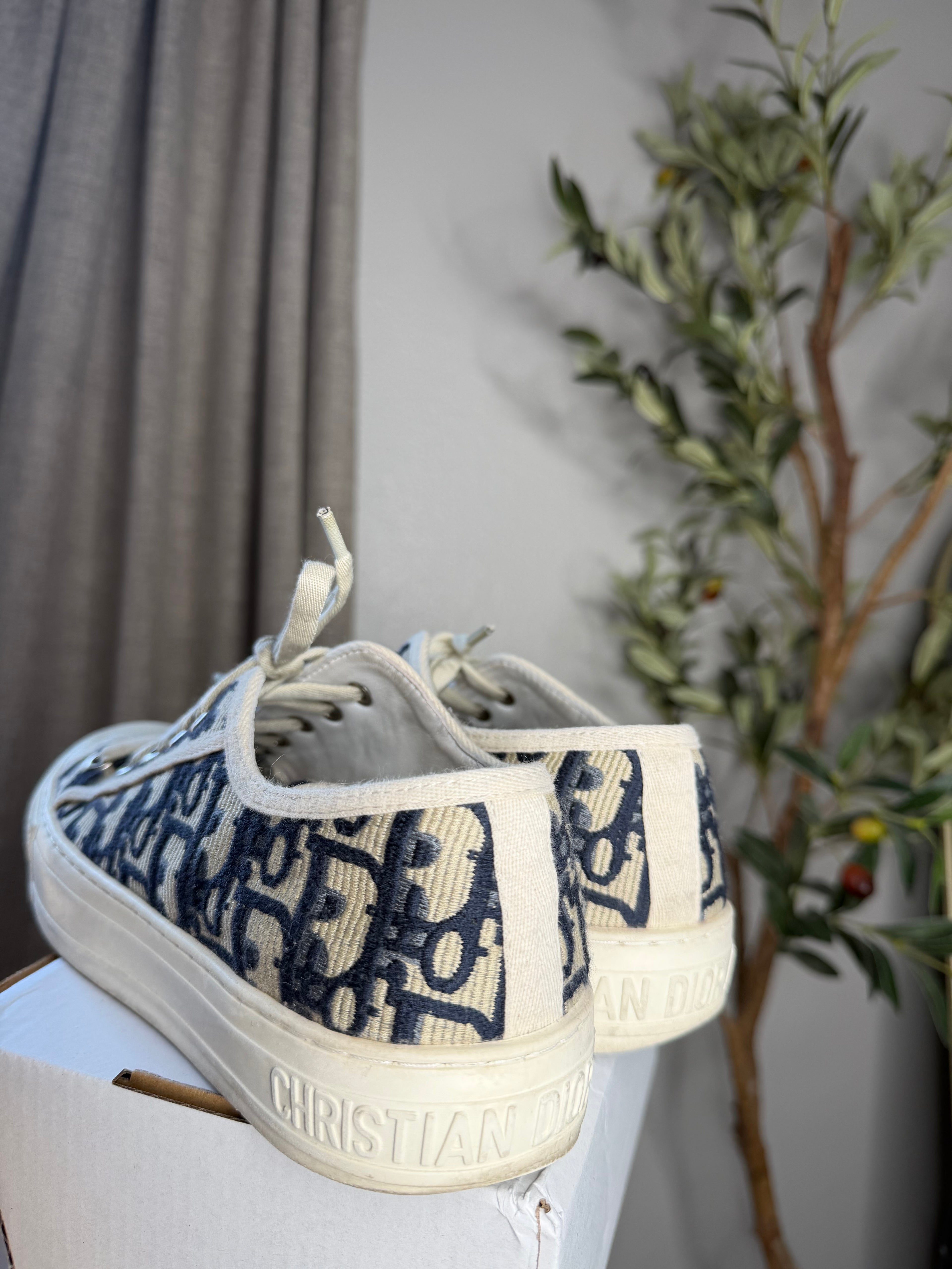 Christian Dior Shoes