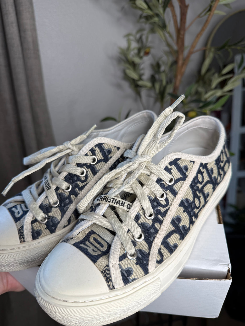 Christian Dior Shoes
