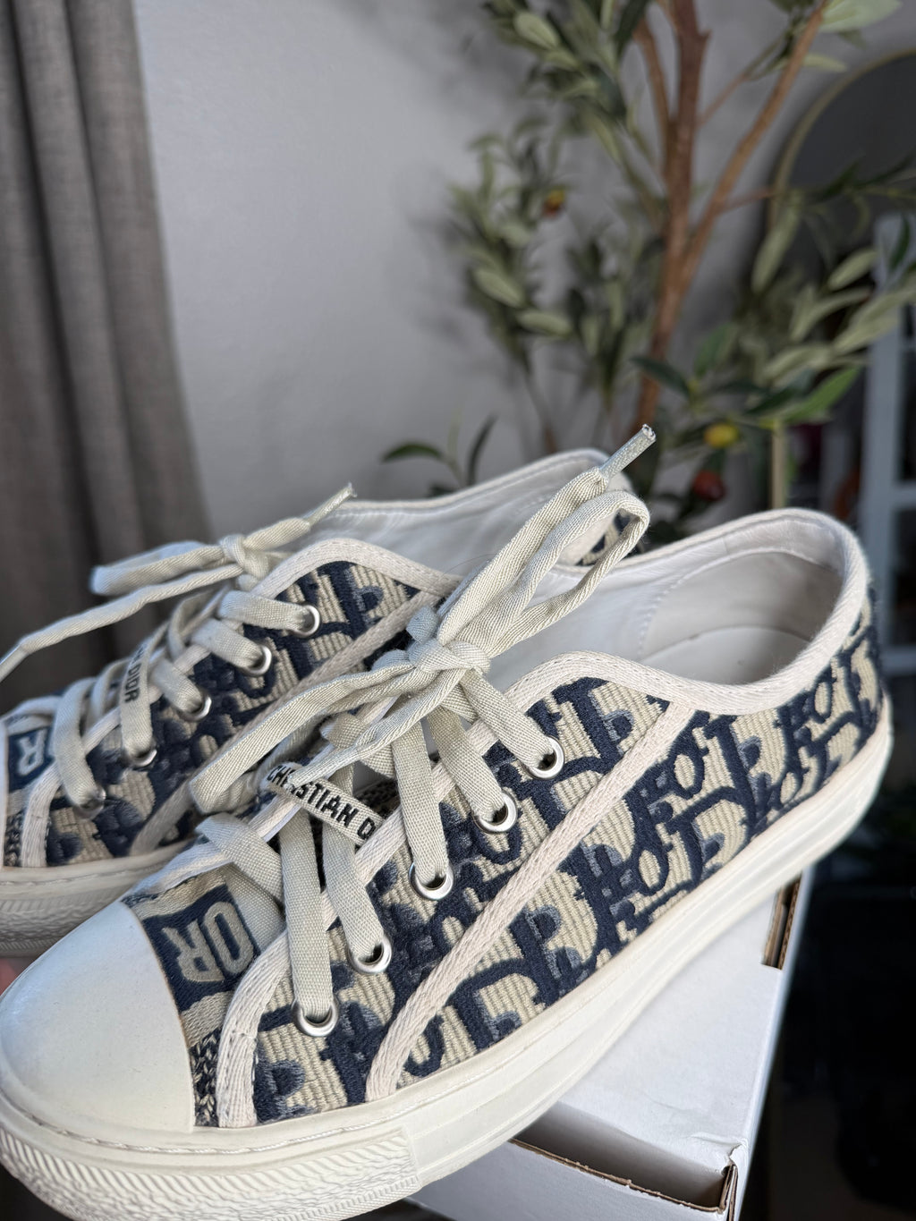 Christian Dior Shoes